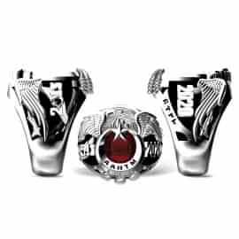 AAHTM Azerbaycan Göktürkçe Türk Yüzüğü 2013 - 2020