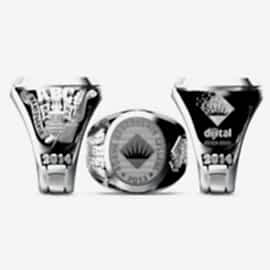 Adana Bahçeşehir College Yüzüğü 2013-2014