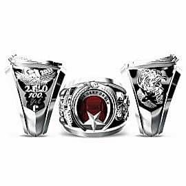 Hava Harp Okulu Yüzüğü 2011-2. Filo 100. Yıl