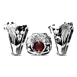 Hava Kuvvetleri Astsubay Yüzüğü 2015 10.Dönem