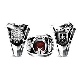 Hava Savunma Okulu Yüzüğü 2010