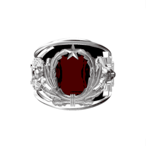 Jandarma Sahil Güvenlik Akademisi Yüzüğü IV JSGA