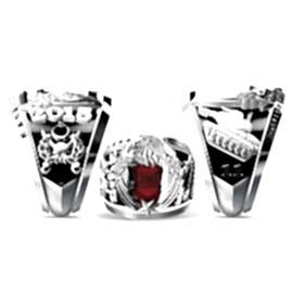 Kara Kuvvetleri Tankçı Yüzüğü 2015-11. Dönem