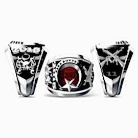 Kara Kuvvetleri Yüzüğü 2015-11. Dönem