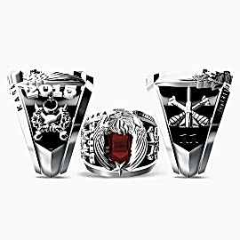 Kara Kuvvetleri Yüzüğü 2015-11 Topçu