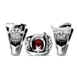 Maltepe Askeri Lisesi Yüzüğü 50. Dönem - 3000 Devresi