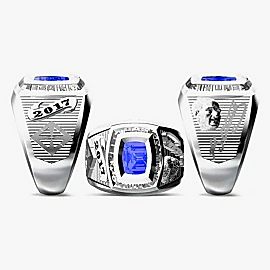 Özel Baskent Okulları Yuzugu 2017