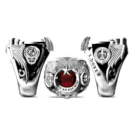 Polis Akademisi Yüzüğü Paem 1. Dönem