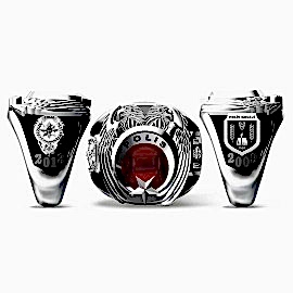 Polis Anı Yüzüğü 2013 – 2009