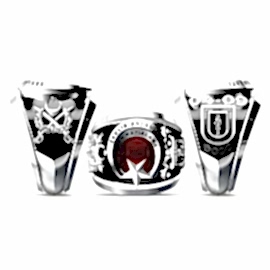 Sağlık Astsubay Hazırlama Yüzüğü 04-09 - 5000