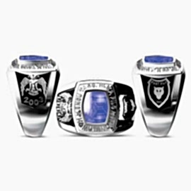 Terörle Mücadele Yüzüğü 3. Taar. Hlkp. Filo Komutanlığı