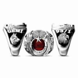 Terörle Mücadele Yüzüğü 93/1