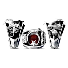 Terörle Mücadele Yüzüğü Şırnak Damlarca 88/4