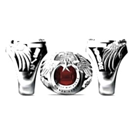 Terörle Mücadele Yüzüğü Şırnak Gabar