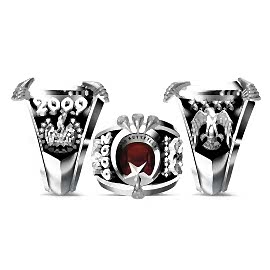 Türk Hava Kuvvetleri Yüzüğü 2009