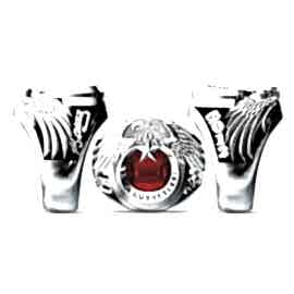 Türk Hava Kuvvetleri Yüzüğü 2012