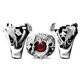 Türk Hava Kuvvetleri Yüzüğü 2016-2. Dönem