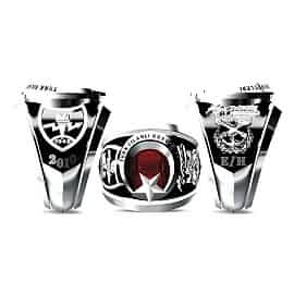 Türk Silahlı Kuvvetleri Yüzüğü 2010