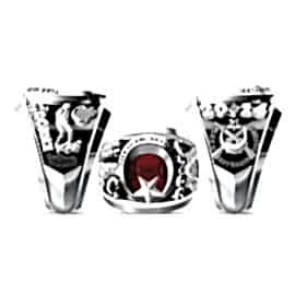 Türk Silahlı Kuvvetleri Yüzüğü 2014 - 21. Dönem