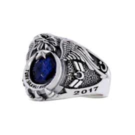 Türk Silahlı Kuvvetleri Yüzüğü Uzman 2017 TSK