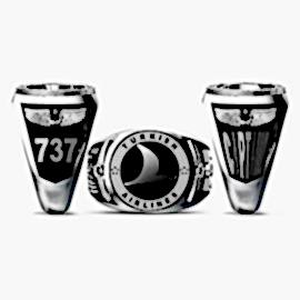 Turkish Airlines Yüzüğü Captain 737