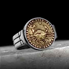 Yengeç Burcu Yüzük Gümüş 925 Ayar